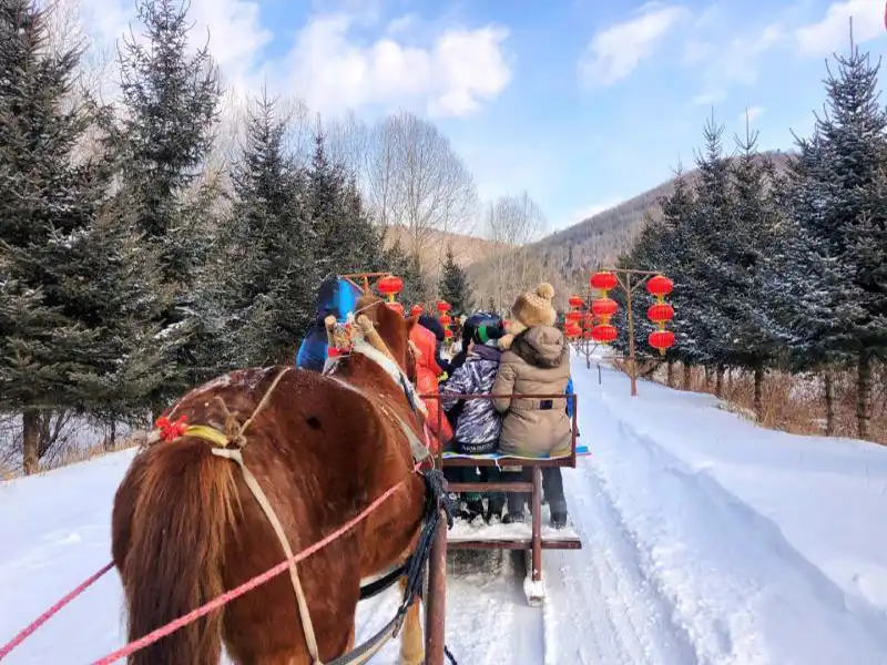 Hotels near Yabuli Northeast Ice and Snow Folk Village
