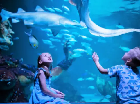 布吉Aquaria海洋水族館