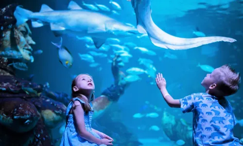 Aquaria Phuket