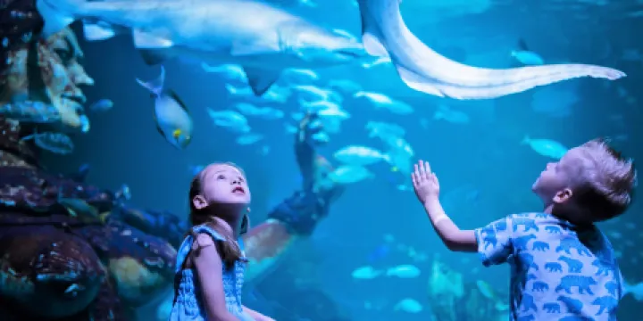 布吉Aquaria海洋水族館