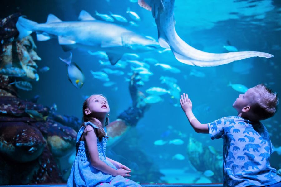 布吉Aquaria海洋水族館