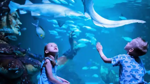 Aquaria Phuket