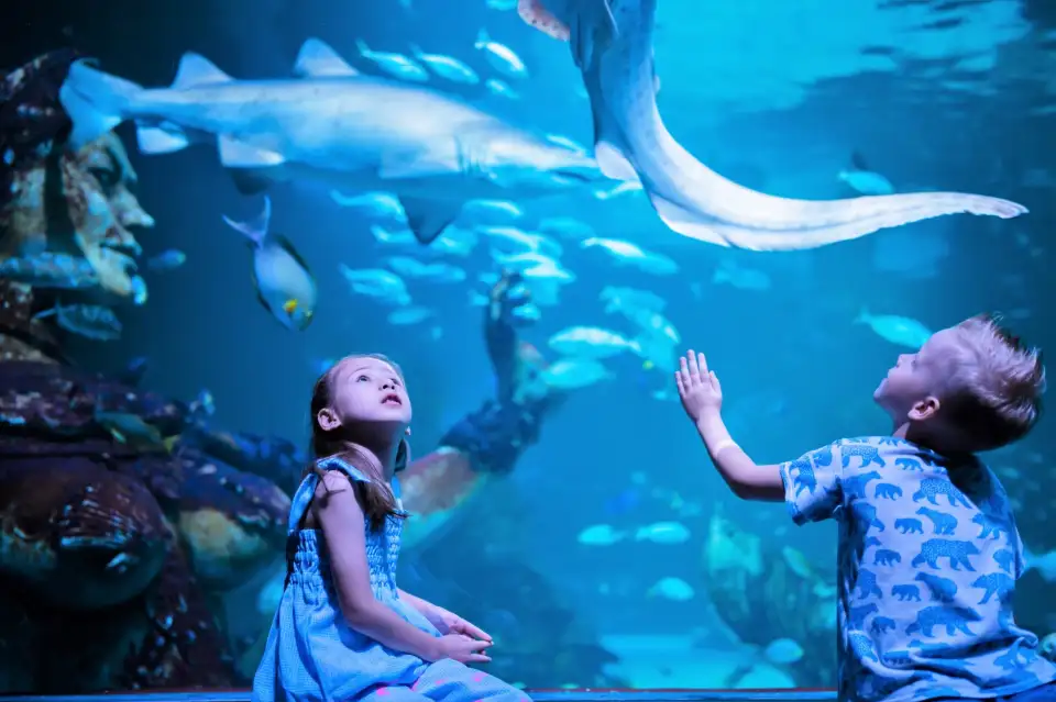 2_Aquaria Phuket