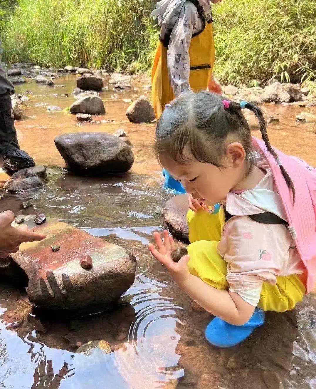 진우산 바두오 마을 열대우림 하이킹 주변 호텔
