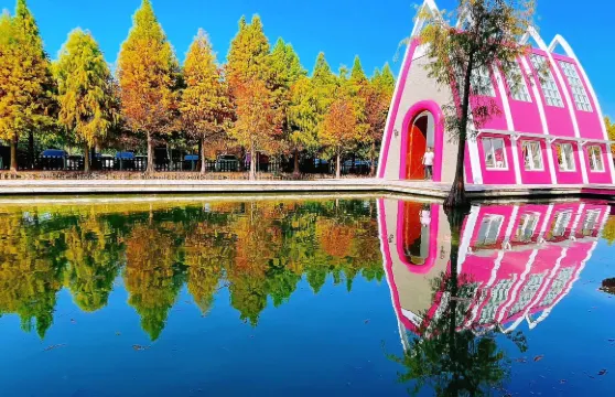 粉紅泡泡咖啡門票大小同價