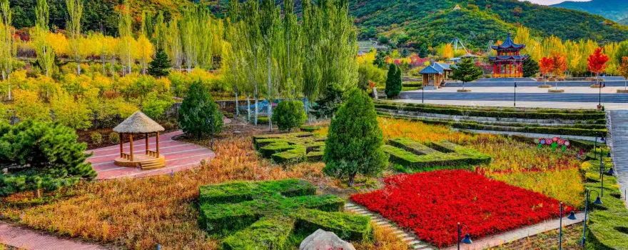 젠핑