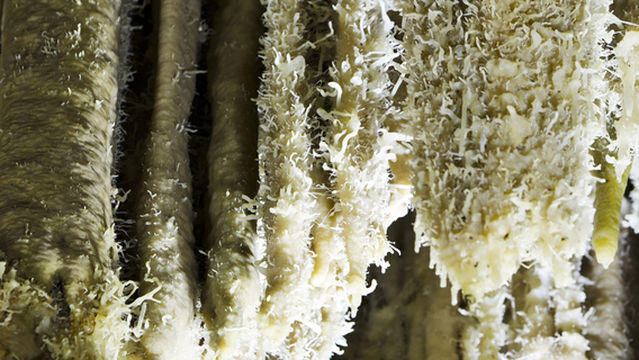 Crystal Palace of Bama