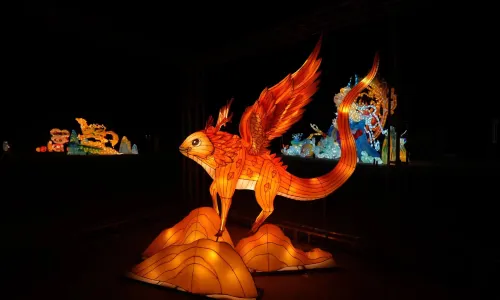 Zhouzhi Water Street Fireworks Alley
