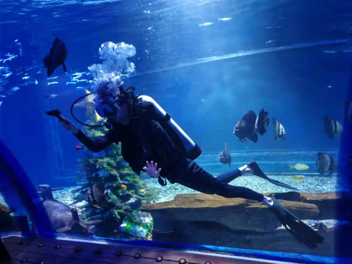 唐山海昌海洋館（名仕奧特萊斯時尚廣場店）附近的飯店