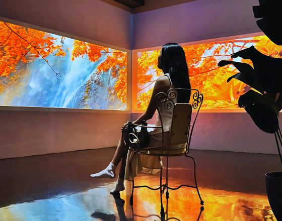 奎松市 自由行套票