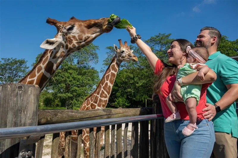 2_Zoo Miami