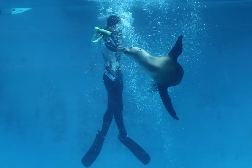 5_下田海中水族館