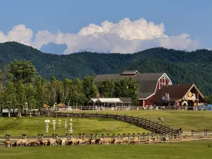 Pingxiang Xianfeng Sanbao Scenic Area