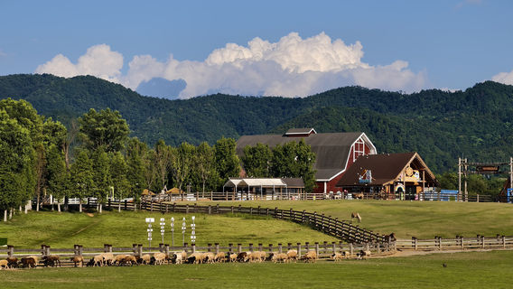 เซียนเฟิงสามทรัพย์การเกษตรและสวนท่องเที่ยว