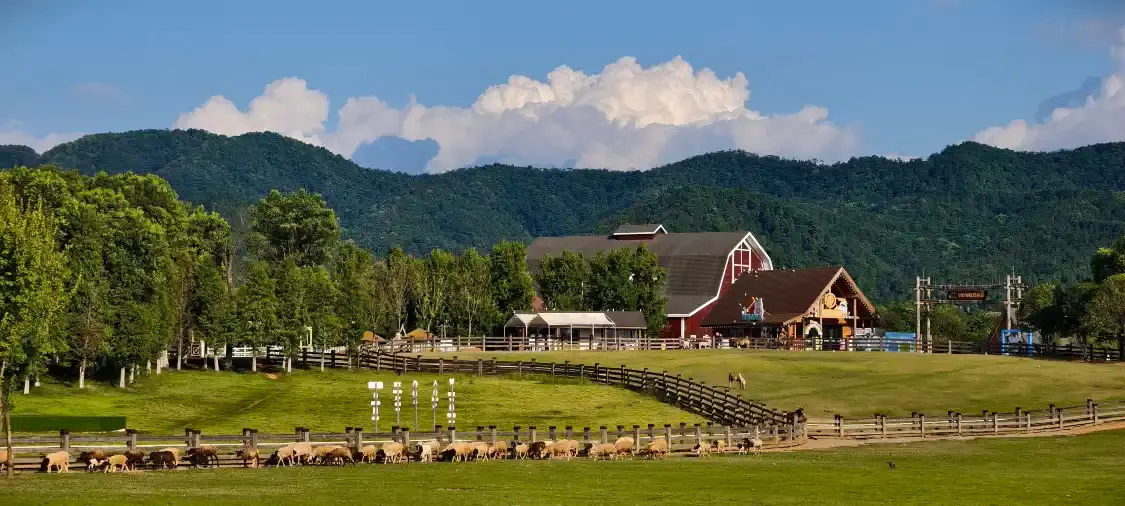 Hotels near Pingxiang Xianfeng Sanbao Scenic Area