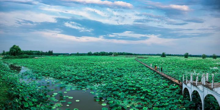 Honghu Eco-Tourism Scenic Area