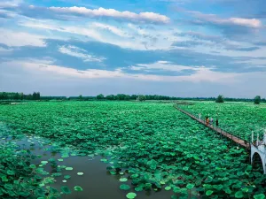 Honghu Eco-Tourism Scenic Area