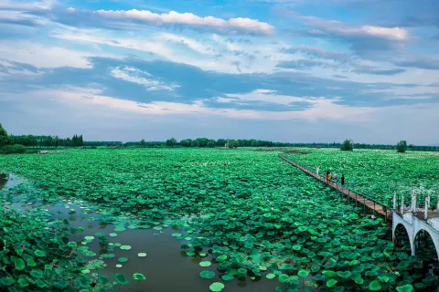 Honghu Eco-Tourism Scenic Area