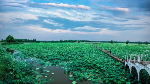 Honghu Eco-Tourism Scenic Area