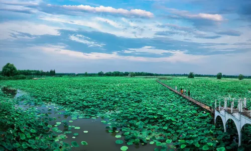Honghu Eco-Tourism Scenic Area
