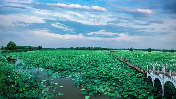 Honghu Eco-Tourism Scenic Area