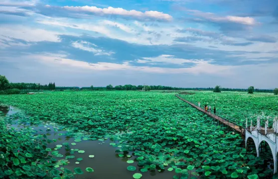 洪湖生態旅遊區門票2人