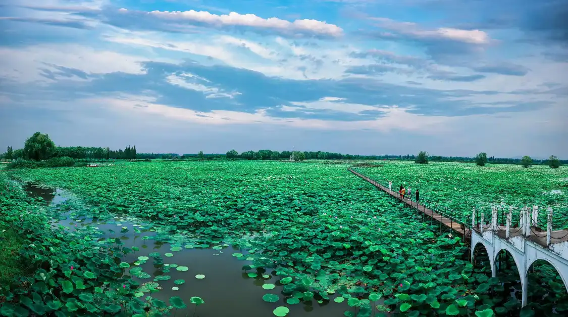 Hotels near Honghu Eco-Tourism Scenic Area