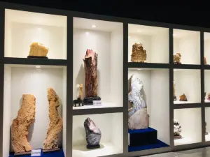 Fuxin Agate Culture Museum