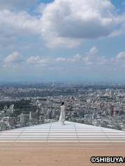 SHIBUYA SKY(澀谷SKY)