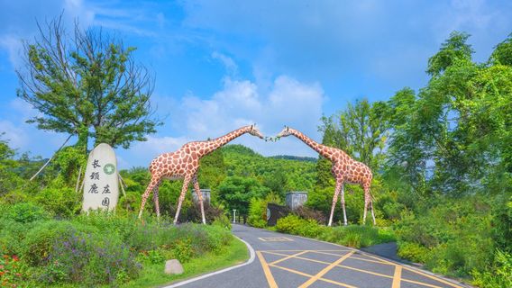 Huzhou Giraffe Manor