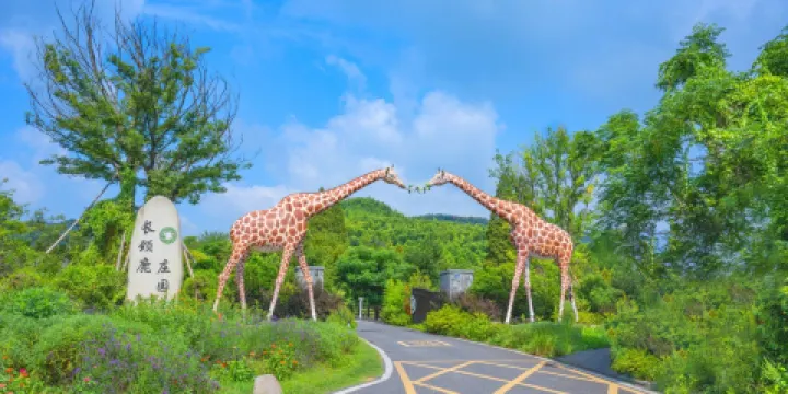 湖州長頸鹿莊園