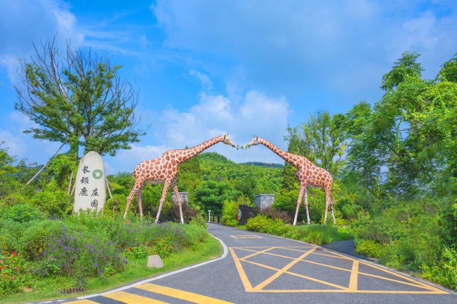 湖州長頸鹿莊園