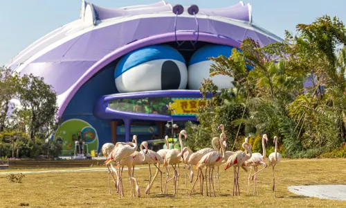 Qingyuan Chimelong Resort