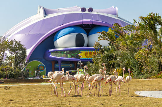 Qingyuan Chimelong Resort