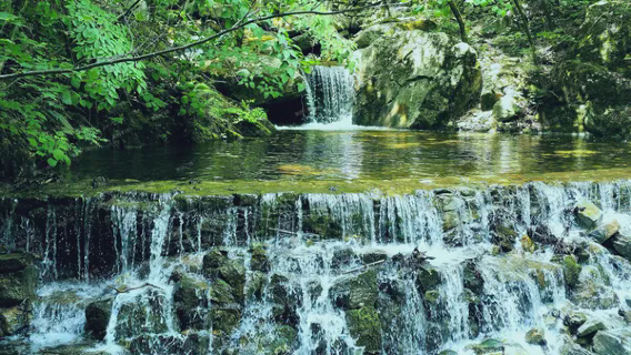 Taibai Qingfengxia Forest Park