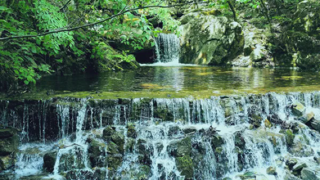 청봉협 삼림공원