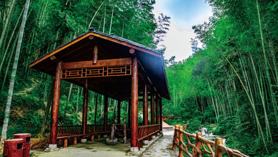 Longxi Secret Scenic Area