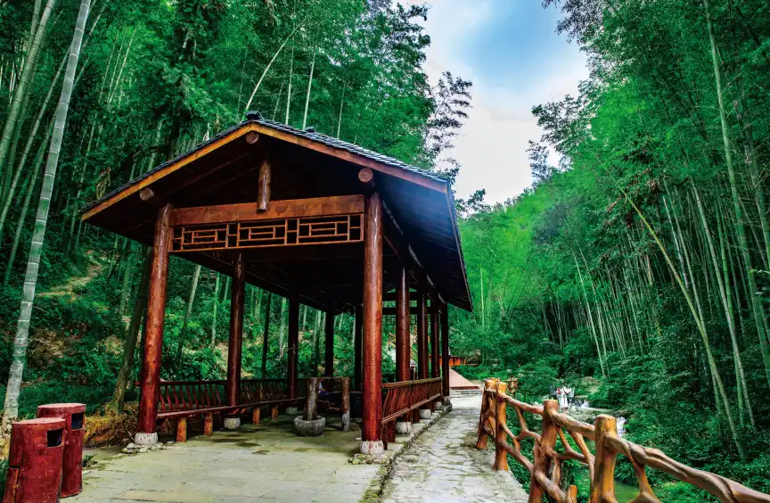 龍溪祕境景區附近的飯店