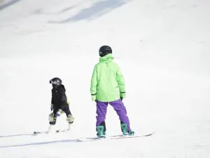 대별산 스키 관광 휴양지