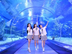 海合安武漢極地海洋公園