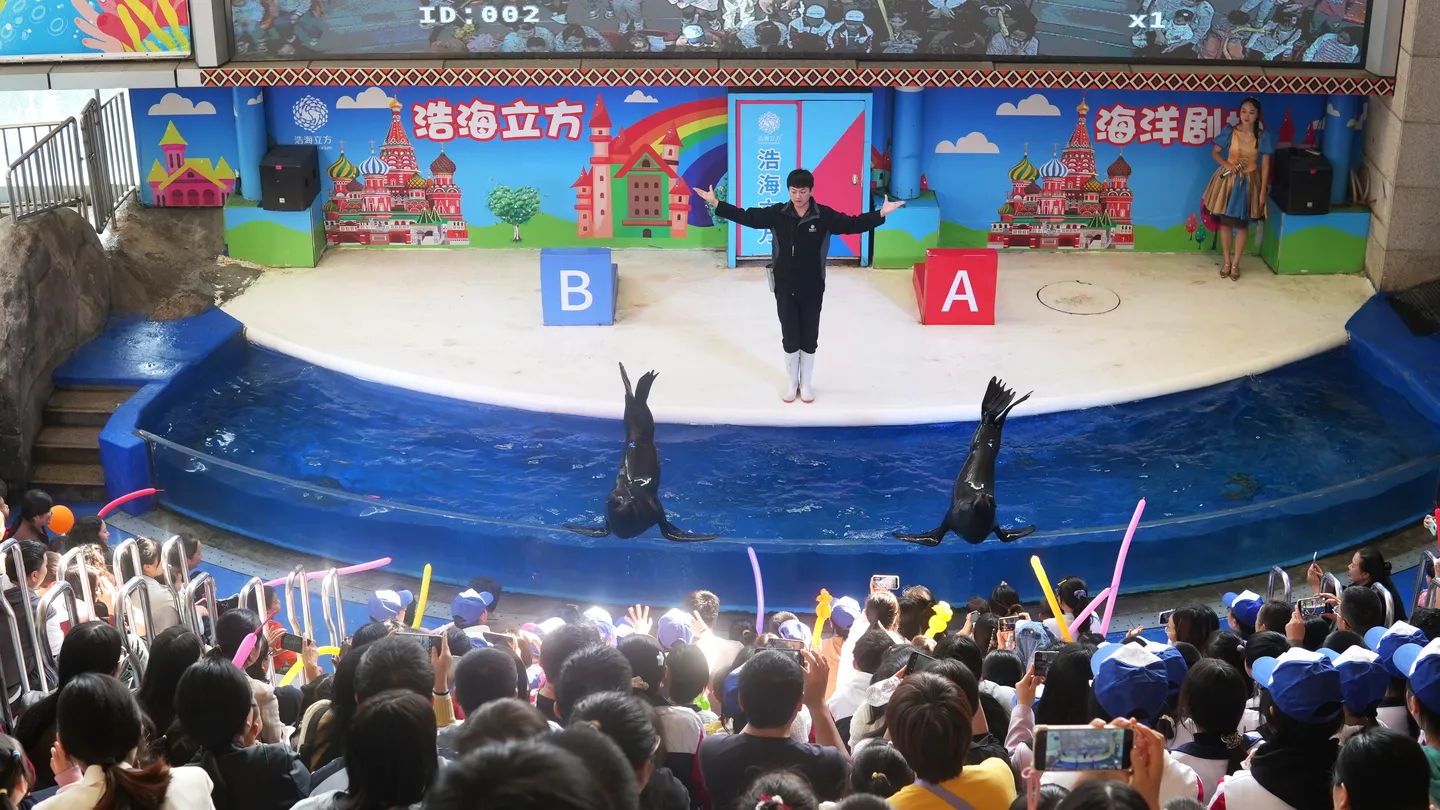 5_Cube Oceanarium Sea World
