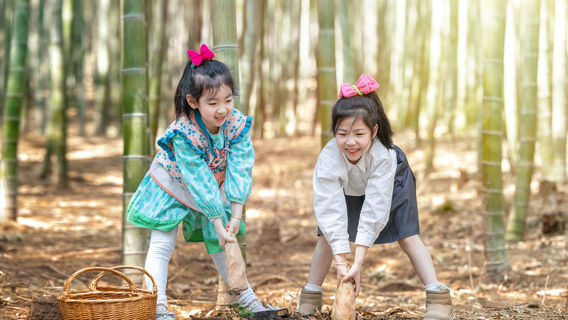 Maoshan Forest World