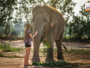 Elephant Jungle Sanctuary Pattaya Camp 1