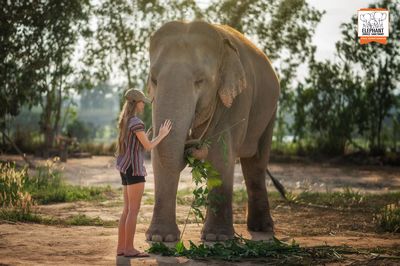 Elephant Jungle Sanctuary Pattaya Camp 1