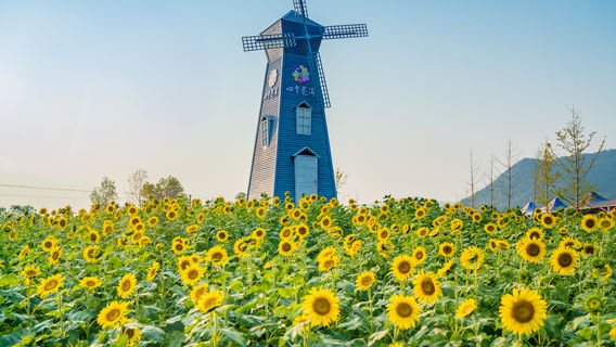 Sijihuahai Zhonghua Garden Scenic District