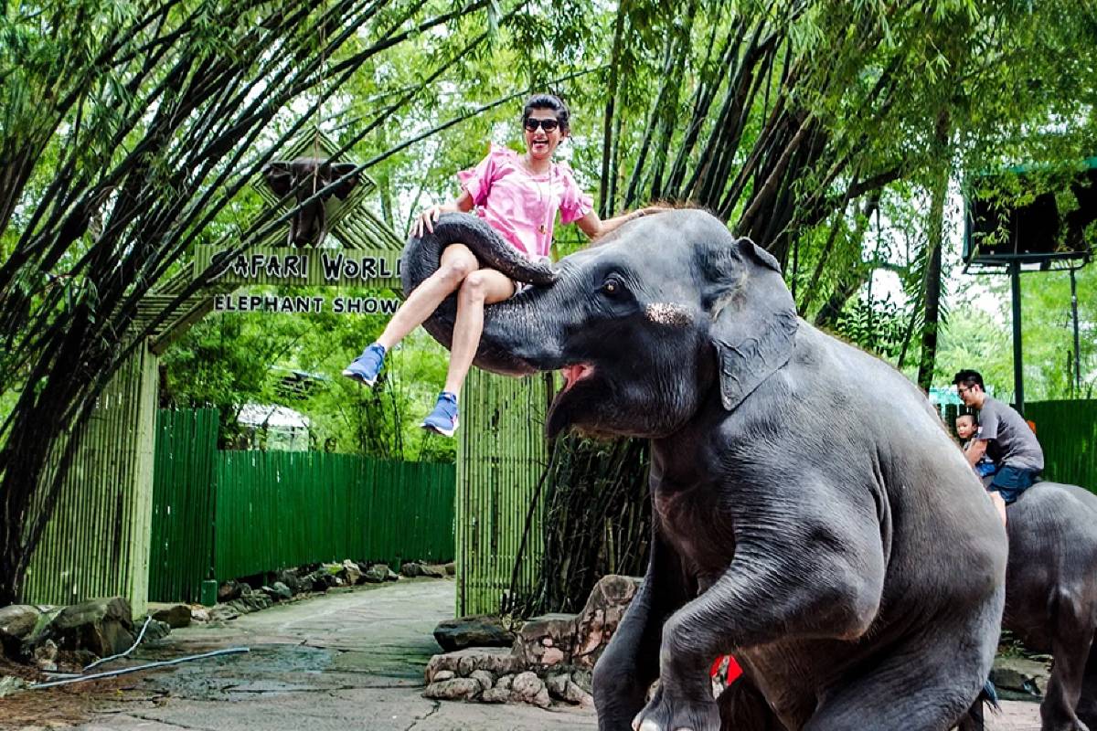 Safari World Bangkok