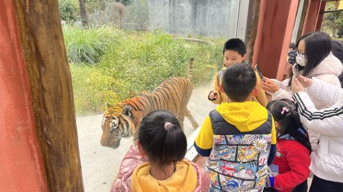 South China Tiger Park
