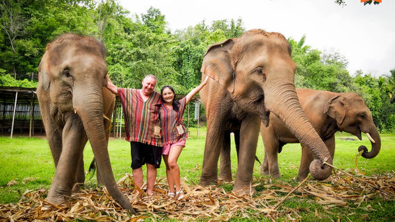 Elephant Jungle Sanctuary Chiang Mai (Grand Canyon Branch)