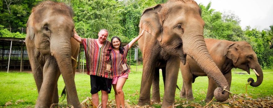 Elephant Jungle Sanctuary Chiang Mai (Grand Canyon Branch)