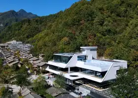 qin ling lin yin wen quan